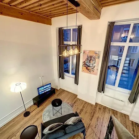 Cosy Appt, Croix Rousse Duviard 2 Lyon